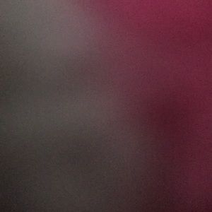 Meet your Posher, Macy